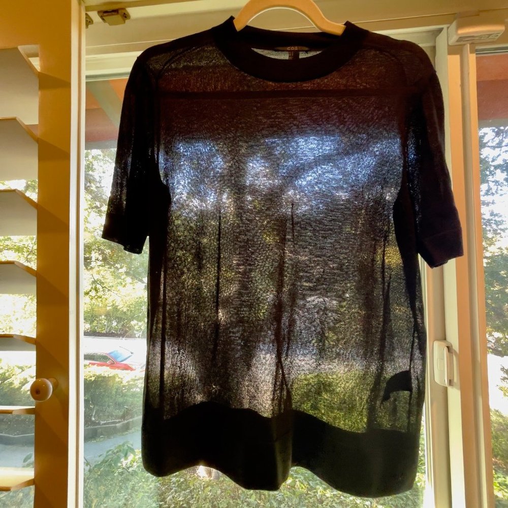 COS Sheer Black T-Shirt. Size Medium. Only worn once or twice. Rayon blend
